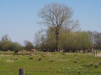 Kalkense Meersen (België)